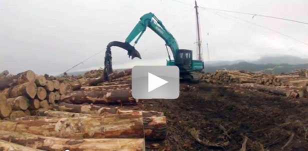 Image Kobelco Sk350Lc-8 Iron Test 1 - Kobelco Excavators